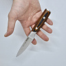 Кухонный малый нож №3,5 R-4173 Premium quality (Сталь 40Cr14, Рукоять - дерево) 2