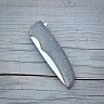 Нож складной "Реликт" (х12мф тигельной плавки, обкладки - карбон) 6